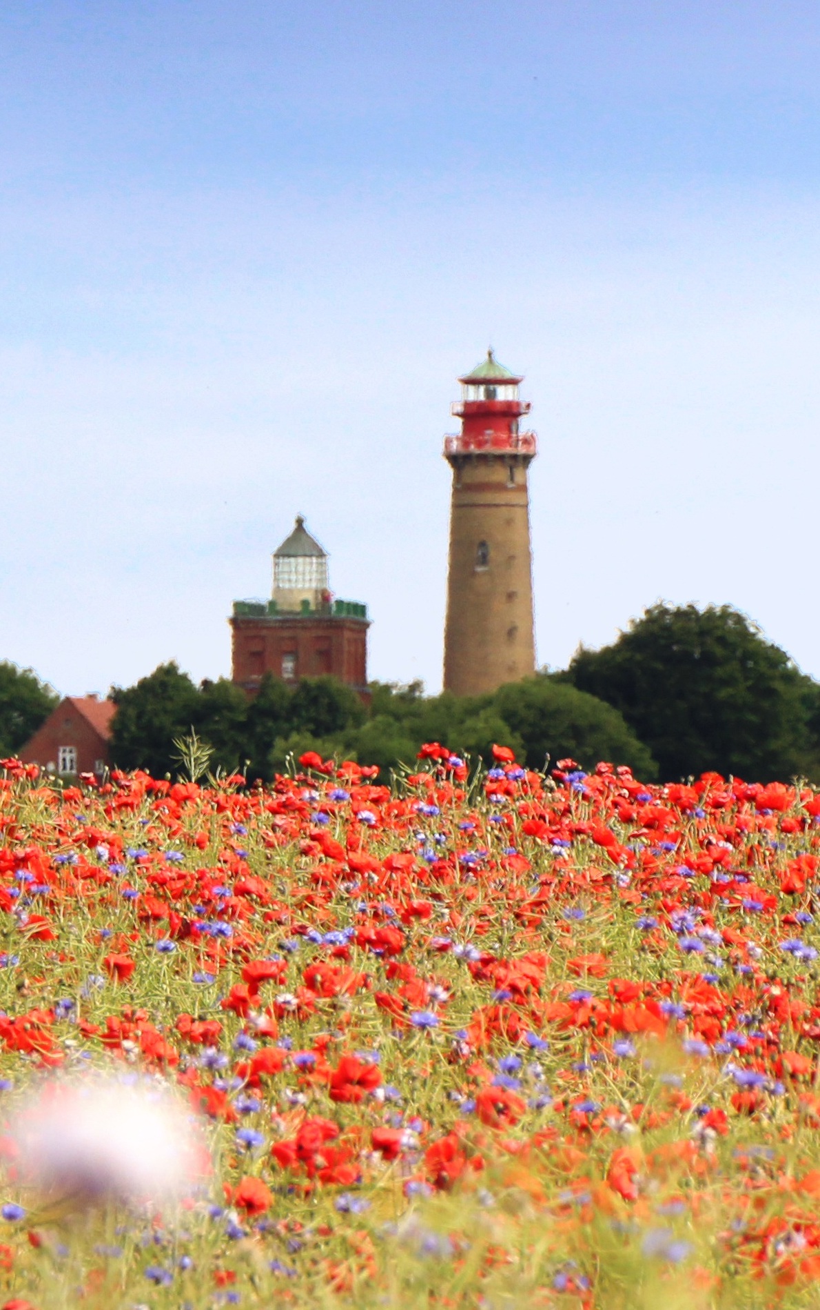 Allerlei auf Rügen